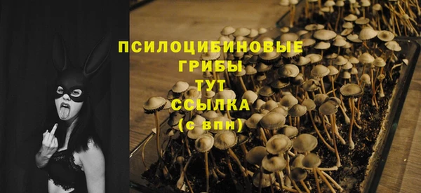соль курить ск Кулебаки